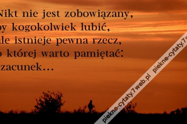 Nikt nie jest zobowiązany by kogokolwiek lubić ale istnieje pewna rzecz o której warto pamiętać: szacunek.