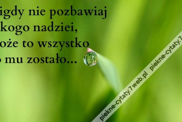 Nigdy nie pozbawiaj nikogo nadziei, może to wszystko co mu zostało