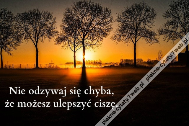 Nie odzywaj się chyba, że możesz ulepszyć ciszę