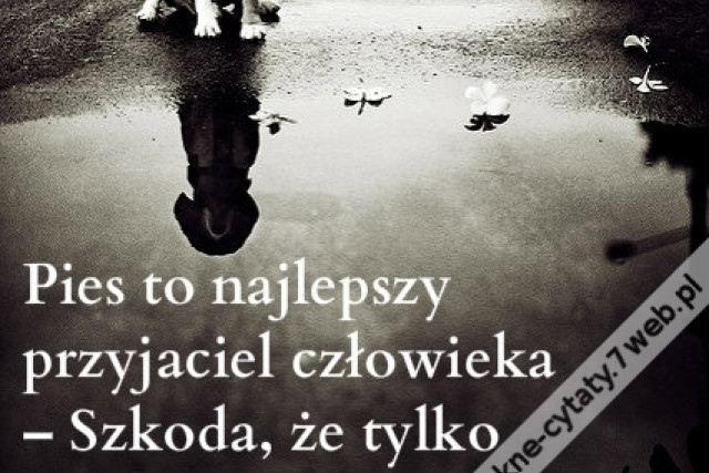 Pies to najlepszy ...