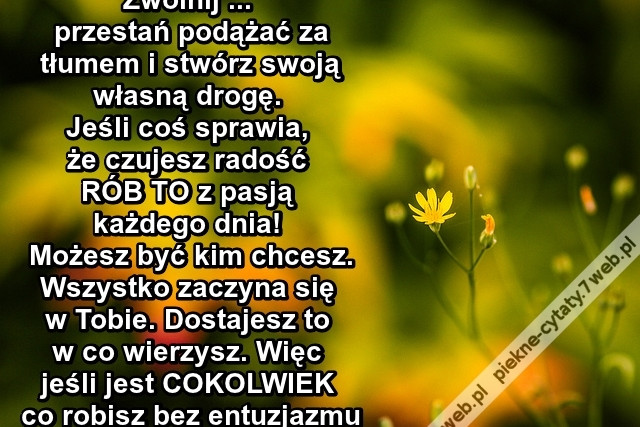 Zwolnij ... przestań podążać za ...