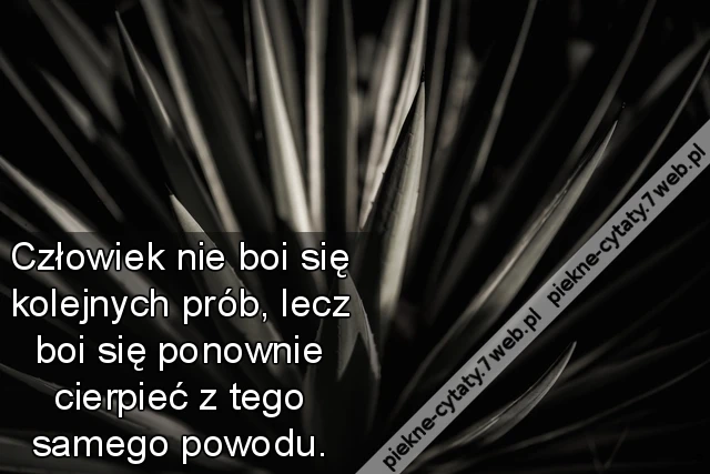 Człowiek nie boi się kolejnych prób, lecz boi się ponownie cierpieć z tego samego powodu.
