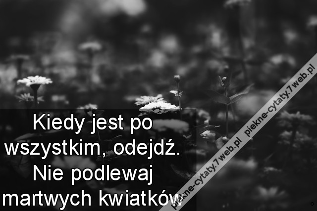 Kiedy jest po wszystkim, odejdź. Nie podlewaj martwych kwiatków