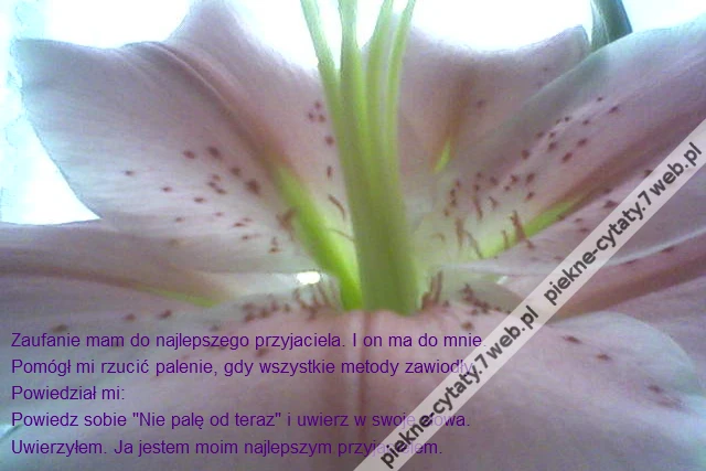 Zaufanie mam do najlepszego przyjaciela. I on ma do mnie.\r\nPomógł mi rzucić palenie, gdy wszystkie metody zawiodły.\r\nPowiedział mi: \r\nPowiedz sobie &quot;Nie palę od teraz&quot; i uwierz w swoje słowa.\r\nUwierzyłem. Ja jestem moim najlepszym przyjacielem.