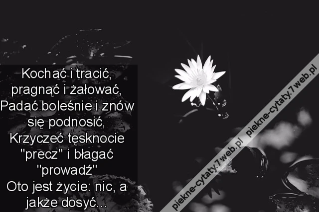 Kochać i tracić, pragnąć i żałować,  Padać boleśnie i znów się podnosić,  Krzyczeć tęsknocie &quot;precz&quot; i błagać &quot;prowadź&quot;  Oto jest życie: nic, a jakże dosyć...