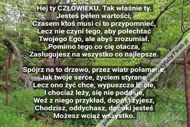 .