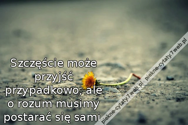 Szczęście może przyjść przypadkowo, ale o rozum musimy postarać się sami.