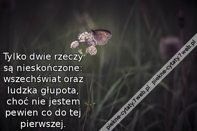 Tylko dwie rzeczy są nieskończone: wszechświat oraz ludzka głupota, choć nie jestem pewien co do tej pierwszej.