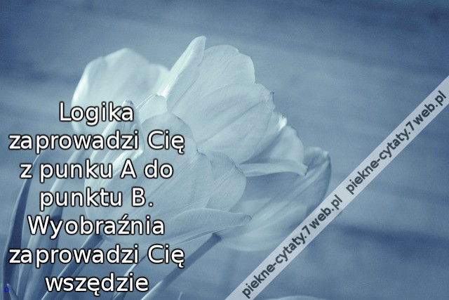 Logika zaprowadzi Cię z punku A do punktu B. Wyobraźnia zaprowadzi Cię wszędzie