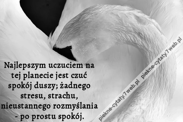 Najlepszym uczuciem na tej planecie jest czuć spokój duszy; żadnego stresu, strachu, nieustannego rozmyślania - po prostu spokój.