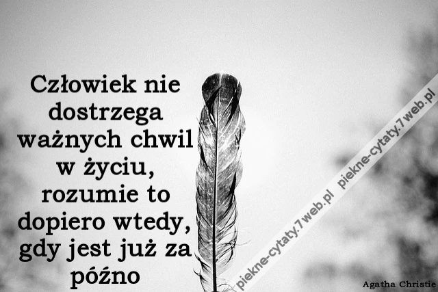 Człowiek nie dostrzega ważnych chwil w życiu, rozumie to dopiero wtedy, gdy jest już za późno