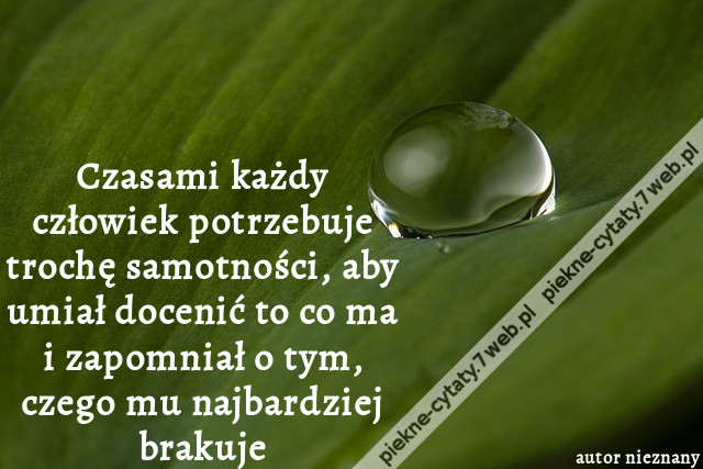 Czasami każdy człowiek potrzebuje trochę samotności, aby umiał docenić to co ma i zapomniał o tym, czego mu najbardziej brakuje