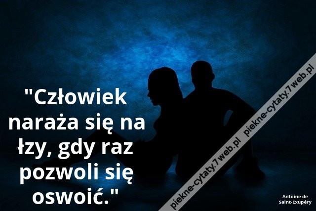 Człowiek naraża się na łzy, gdy raz pozwoli się oswoić.