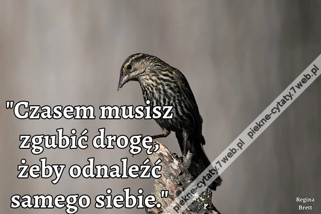 &quot;Czasem musisz zgubić drogę, żeby odnaleźć samego siebie.&quot;