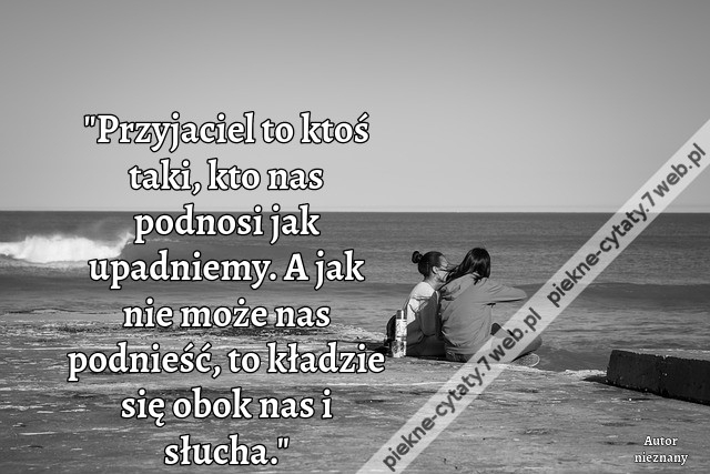&quot;Przyjaciel to ktoś taki, kto nas podnosi jak upadniemy. A jak nie może nas podnieść, to kładzie się obok nas i słucha.&quot;i