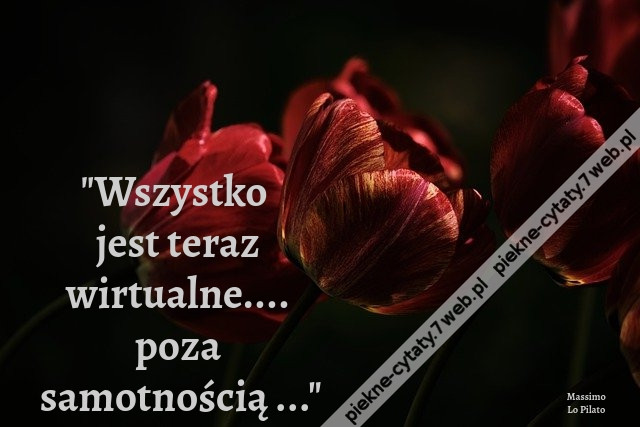 Wszystko jest teraz wirtualne.... poza samotnością ...
