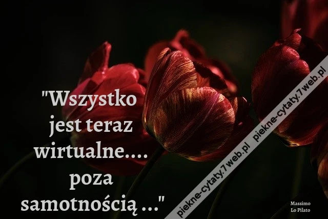 Wszystko jest teraz wirtualne.... poza samotnością ...