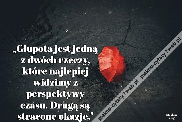 „Głupota jest jedną z dwóch rzeczy, które najlepiej widzimy z perspektywy czasu. Drugą są stracone okazje.&quot;
