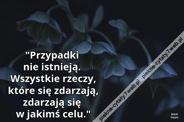 &quot;Przypadki nie istnieją.  Wszystkie rzeczy, które się zdarzają, zdarzają się w jakimś celu.&quot;
