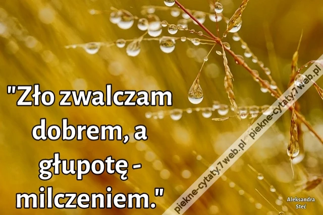 &quot;Zło zwalczam dobrem, a głupotę - milczeniem.&quot;