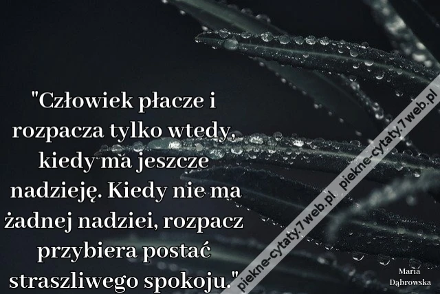 &quot;Człowiek płacze i rozpacza tylko wtedy, kiedy ma jeszcze nadzieję. Kiedy nie ma żadnej nadziei, rozpacz przybiera postać straszliwego spokoju.&quot;