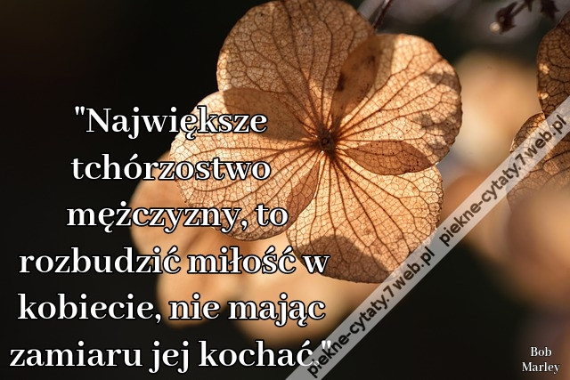 &quot;Największe tchórzostwo mężczyzny, to rozbudzić miłość w kobiecie, nie mając zamiaru jej kochać.&quot;