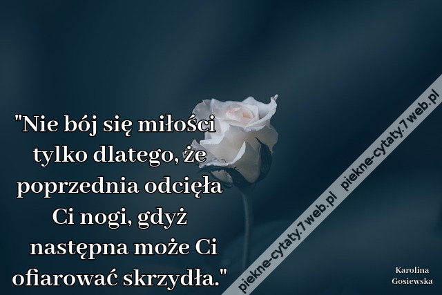 &quot;Nie bój się miłości tylko dlatego, że poprzednia odcięła Ci nogi, gdyż następna może Ci ofiarować skrzydła.&quot;