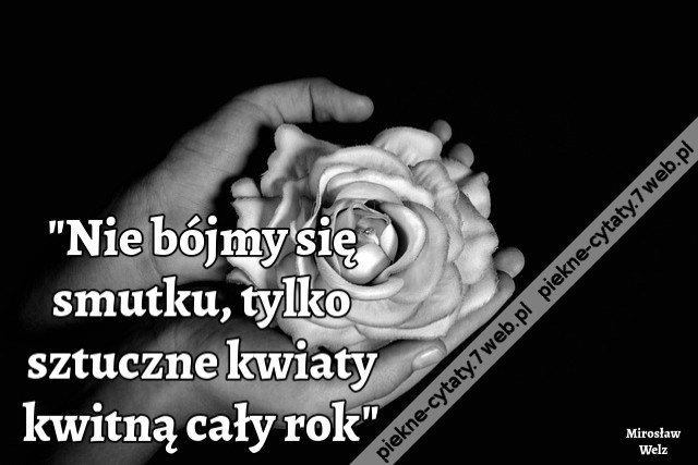Nie bójmy się smutku, tylko sztuczne kwiaty kwitną cały rok
