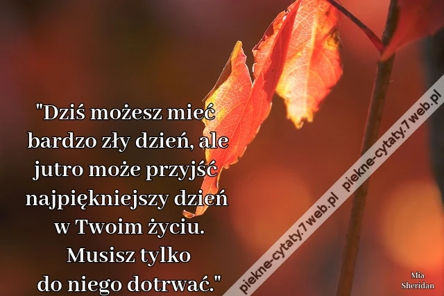&quot;Dziś możesz mieć bardzo zły dzień, ale jutro może przyjść najpiękniejszy dzień w Twoim życiu. Musisz tylko do niego dotrwać.&quot;