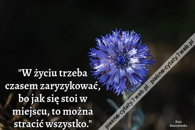 &quot;W życiu trzeba czasem zaryzykować, bo jak się stoi w miejscu, to można stracić wszystko.&quot;