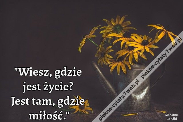 &quot;Wiesz, gdzie jest życie? Jest tam, gdzie miłość.&quot;