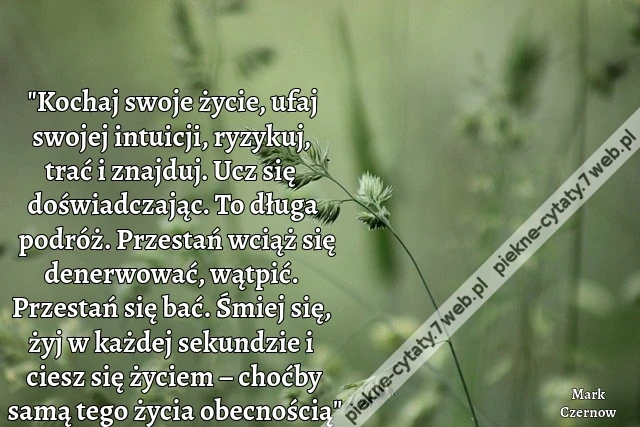 &quot;Kochaj swoje życie, ufaj swojej intuicji, ryzykuj, trać i znajduj. Ucz się doświadczając. To długa podróż. Przestań wciąż się denerwować, wątpić. Przestań się bać. Śmiej się, żyj w każdej sekundzie i ciesz się życiem – choćby samą tego życia obecnością&quot;