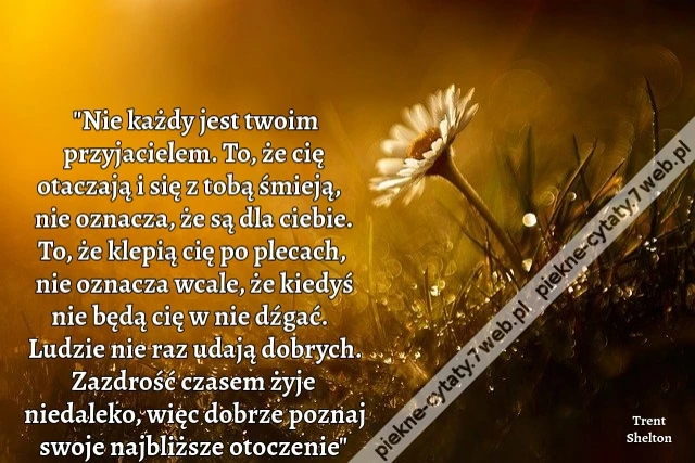 &quot;Nie każdy jest twoim przyjacielem. To, że cię otaczają i się z tobą śmieją, nie oznacza, że są dla ciebie. To, że klepią cię po plecach, nie oznacza wcale, że kiedyś nie będą cię w nie dźgać. Ludzie nie raz udają dobrych. Zazdrość czasem żyje niedaleko,