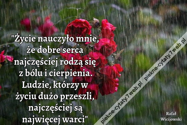 &quot;Życie nauczyło mnie, że dobre serca najczęściej rodzą się z bólu i cierpienia. Ludzie, którzy w życiu dużo przeszli, najczęściej są najwięcej warci&quot;