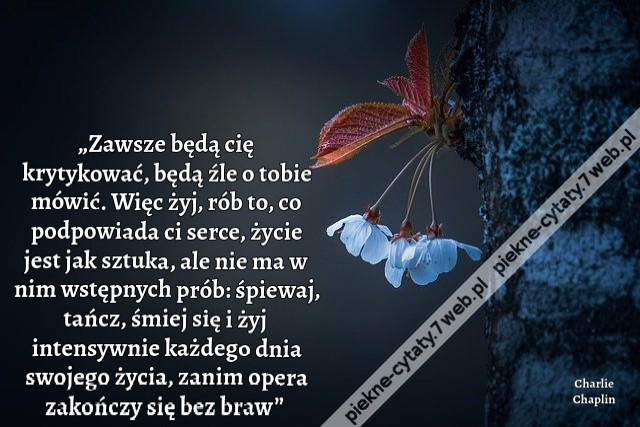 „Zawsze będą cię krytykować, będą źle o tobie mówić. Więc żyj, rób to, co podpowiada ci serce, życie jest jak sztuka, ale nie ma w nim wstępnych prób: śpiewaj, tańcz, śmiej się i żyj intensywnie każdego dnia swojego życia, zanim opera zakończy się bez bra