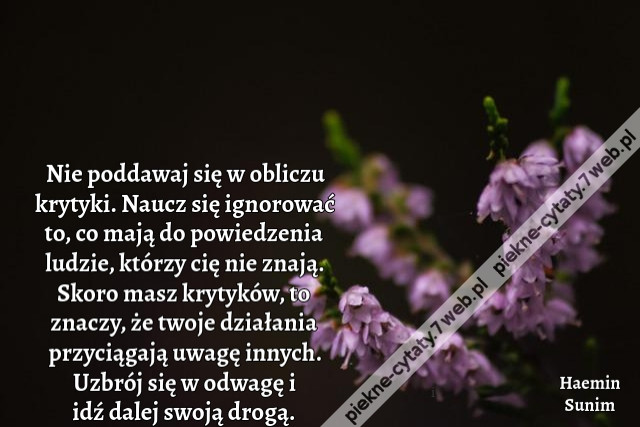 Nie poddawaj się w obliczu krytyki. Naucz się ignorować to, co mają do powiedzenia ludzie, którzy cię nie znają. Skoro masz krytyków, to znaczy, że twoje działania przyciągają uwagę innych. Uzbrój się w odwagę i idź dalej swoją drogą.i