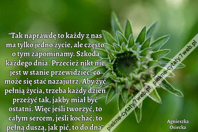 &quot;Tak naprawdę to każdy z nas ma tylko jedno życie, ale często o tym zapominamy. Szkoda każdego dnia. Przecież nikt nie jest w stanie przewidzieć, co może się stać nazajutrz. Aby żyć pełnią życia, trzeba każdy dzień przeżyć tak, jakby miał być ostatni. Wię