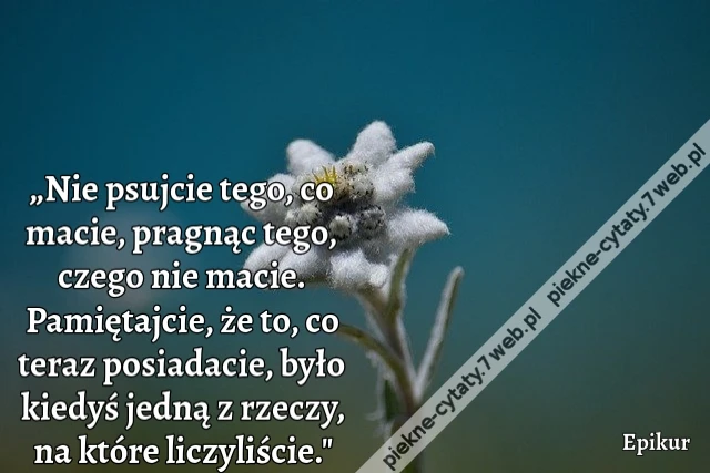 „Nie psujcie tego, co macie, pragnąc tego, czego nie macie. Pamiętajcie, że to, co teraz posiadacie, było kiedyś jedną z rzeczy, na które liczyliście.&quot;