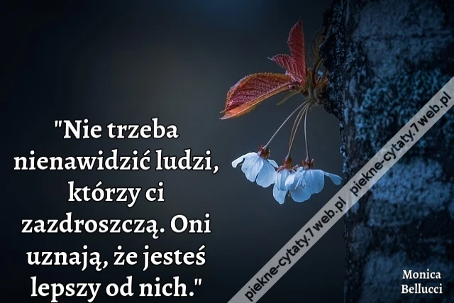 &quot;Nie trzeba nienawidzić ludzi, którzy ci zazdroszczą. Oni uznają, że jesteś lepszy od nich.&quot;