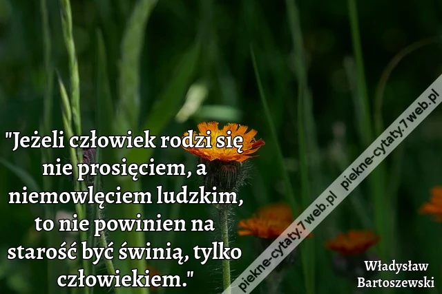 &quot;Jeżeli człowiek rodzi się nie prosięciem, a niemowlęciem ludzkim, to nie powinien na starość być świnią, tylko człowiekiem.&quot;
