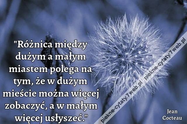 &quot;Różnica między dużym a małym miastem polega na tym, że w dużym mieście można więcej zobaczyć, a w małym więcej usłyszeć.&quot;