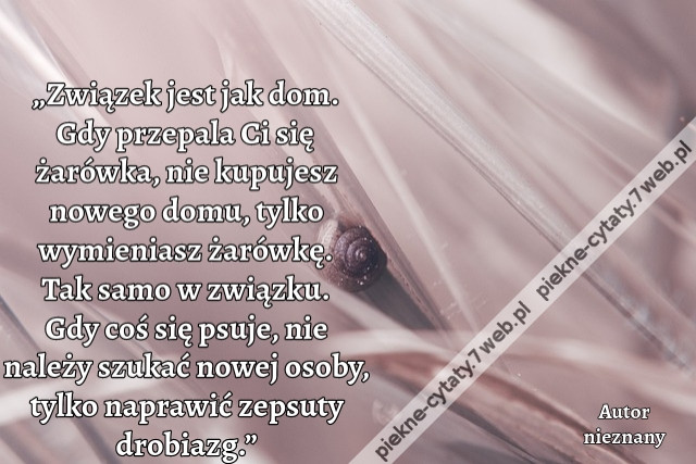„Związek jest jak dom. Gdy przepala Ci się żarówka, nie kupujesz nowego domu, tylko wymieniasz żarówkę. Tak samo w związku. Gdy coś się psuje, nie należy szukać nowej osoby, tylko naprawić zepsuty drobiazg.”