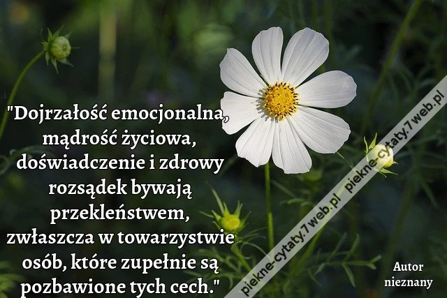 &quot;Dojrzałość emocjonalna, mądrość życiowa, doświadczenie i zdrowy rozsądek bywają przekleństwem, zwłaszcza w towarzystwie osób, które zupełnie są pozbawione tych cech.&quot;
