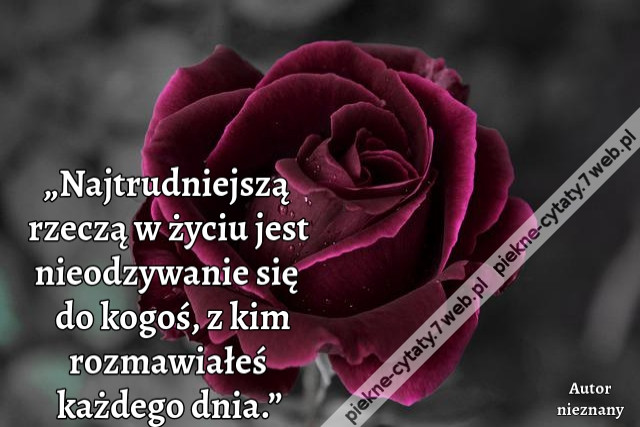 „Najtrudniejszą rzeczą w życiu jest nieodzywanie się do kogoś, z kim rozmawiałeś każdego dnia.”