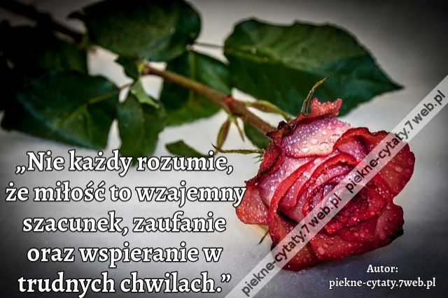 „Nie każdy rozumie, że miłość to wzajemny szacunek, zaufanie oraz wspieranie w trudnych chwilach.”