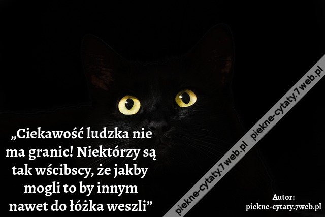 „Ciekawość ludzka nie ma granic! Niektórzy są tak wścibscy, że jakby  mogli to by innym nawet do łóżka weszli”