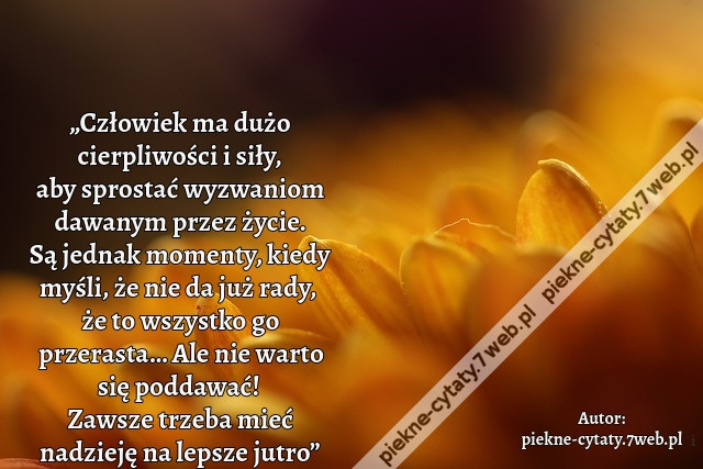 „Człowiek ma dużo cierpliwości i siły, aby sprostać wyzwaniom dawanym przez życie. Są jednak momenty, kiedy myśli, że nie da już rady, że to wszystko go przerasta… Ale nie warto się poddawać! Zawsze trzeba mieć nadzieję na lepsze jutro”