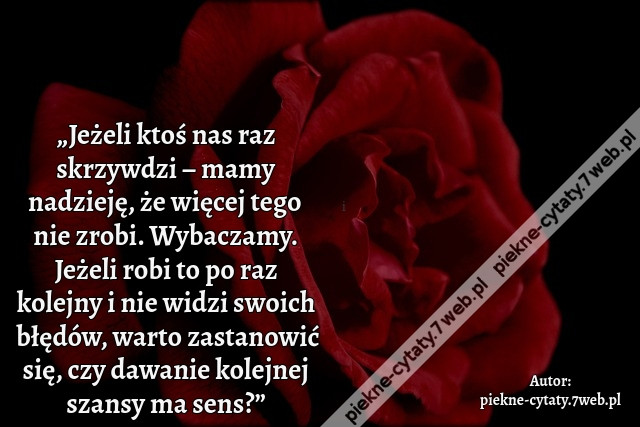 „Jeżeli ktoś nas raz skrzywdzi – mamy nadzieję, że więcej tego nie zrobi. Wybaczamy. Jeżeli robi to po raz kolejny i nie widzi swoich błędów, warto zastanowić się, czy dawanie kolejnej szansy ma sens?”