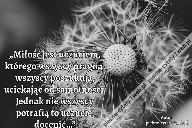 „Miłość jest uczuciem, którego wszyscy pragną, wszyscy poszukują, uciekając od samotności. Jednak nie wszyscy potrafią to uczucie docenić…”i