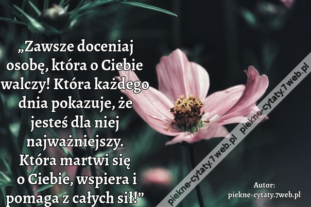 „Zawsze doceniaj osobę,  która o Ciebie walczy! Która każdego dnia pokazuje, że jesteś dla niej najważniejszy. Która martwi się o Ciebie, wspiera i pomaga z całych sił!”